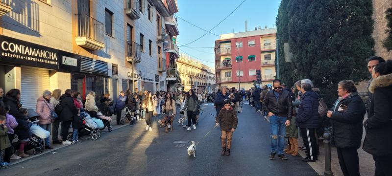 Desfile de San Antón 2025.