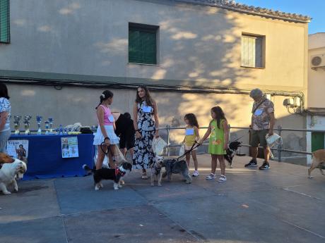 El concurso canino inauguró las fiestas de San Roque.