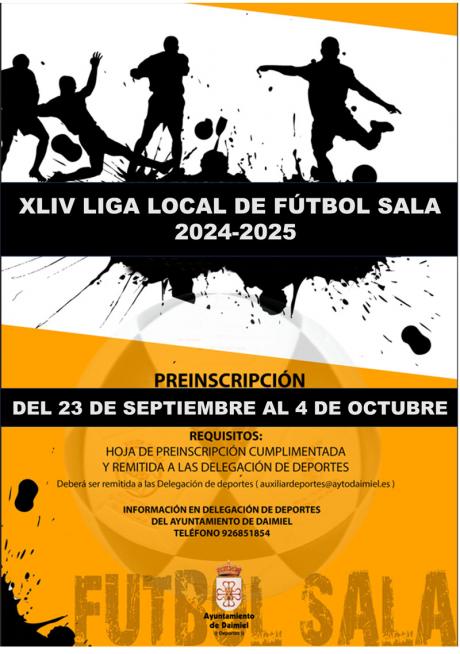 Cartel liga futbol sala 2425